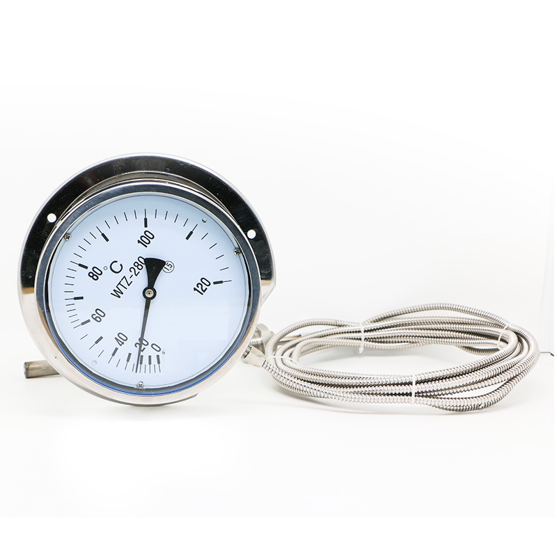 WTZ-280BF型不銹鋼壓力式溫度計(jì)