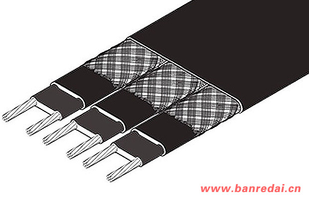 ZH組合型自限溫電伴熱帶結(jié)構(gòu)